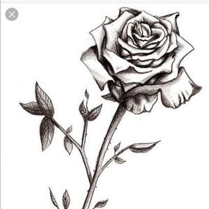 Meet your Posher, Nena